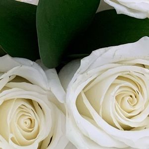 Meet your Posher, Harsimran